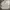 BESLOW Streetwear Windbreaker Pria white gray photo 2