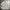 BESLOW Streetwear Windbreaker Pria White Gray