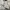 BESLOW Streetwear Windbreaker Pria white gray photo 7