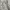 BESLOW Streetwear Windbreaker Pria white gray photo 5