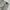 Versace Vintage Luxury Casual pants Pria tan photo 3
