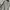 Versace Vintage Luxury Casual pants Pria tan photo 4