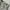 Versace Vintage Luxury Casual pants Pria tan photo 7