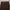 Dickies Casual Casual pants Pria brown photo 6