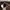 Dickies Casual Casual pants Pria brown photo 5