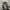 Japanese brand Gorpcore Casual Windbreaker Pria black photo 5