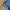 Wilson Gorpcore Windbreaker Pria blue photo 3
