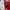 Bubblegum American Flavour Casual Sneakers Kids red photo 2
