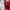 Bubblegum American Flavour Casual Sneakers Kids Red