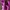 Melissa Fairy Sandals & Slide Kids Pink