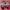 Puma Sportswear Sneakers Kids Red
