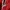 Adidas Streetwear Sportswear Track jacket Pria white red photo 4
