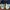 Puma Sportswear Sneakers Kids blue photo 2