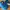 Puma Sportswear Sneakers Kids blue photo 3