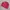 Streetwear Sportswear Windbreaker Pria red photo 1