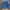 Casual Polo shirt Pria black blue photo 1