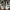 Adidas Sportswear Sneakers Kids white photo 4