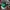 Adidas Sportswear Sneakers Kids white photo 6