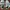 Adidas Sportswear Sneakers Kids white photo 1