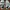 Adidas Sportswear Sneakers Kids White