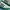 Adidas Casual Sneakers Pria green cream photo 2