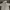 MLB Streetwear Swimwear Kids White