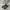 Adidas Streetwear Indie Casual shoe Pria white green photo 1