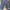 ZARA Casual Culotte Wanita navy photo 1