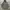 Rick Owens Vintage Streetwear Parka Pria green photo 2