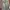 JVIM Vintage Casual Trench coat Wanita blue photo 1