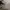 Converse Streetwear Casual Sneakers Pria white photo 3