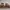 Converse Streetwear Casual Sneakers Pria white photo 1