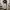 Vintage Y2K Sweatpants & Joggers Pria tan cream photo 1