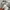 Nike Vintage Y2K Sweatpants & Joggers Pria gray photo 5