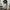 Nike Vintage Y2K Sweatpants & Joggers Pria gray photo 1