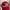 Jeep Streetwear Casual Hat Pria red photo 4
