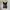 Lolita Coquette Bra Wanita pink black photo 2