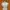 Casual Casual dress Wanita cream photo 2