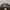 New Era Vintage Casual Hat Pria brown photo 2
