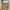 Nike Streetwear Casual Sneakers Wanita gold cream photo 6