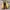 Nike Streetwear Casual Sneakers Wanita gold cream photo 7