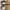 Nike Streetwear Casual Sneakers Wanita gold cream photo 5