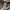 A.P.C. Luxury Casual Sweater Pria multicolor photo 6