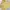 Vintage Casual Harrington jacket Pria cream yellow photo 3