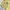 Vintage Casual Harrington jacket Pria cream yellow photo 5