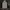 Adidas Sportswear Jersey Pria white navy photo 1