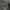 Adidas Sportswear Windbreaker Pria white photo 8