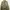 Indie Harrington jacket Pria green photo 1