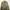 Indie Harrington Jacket Pria Green