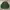 Champion Streetwear Sportswear Sweater Pria green photo 1